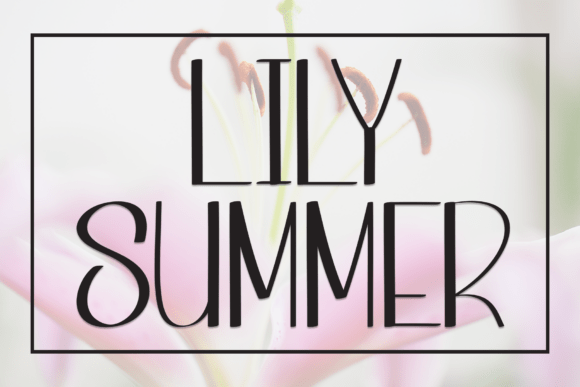 Lily Summer: A Playful Display Font for Editorial Projects